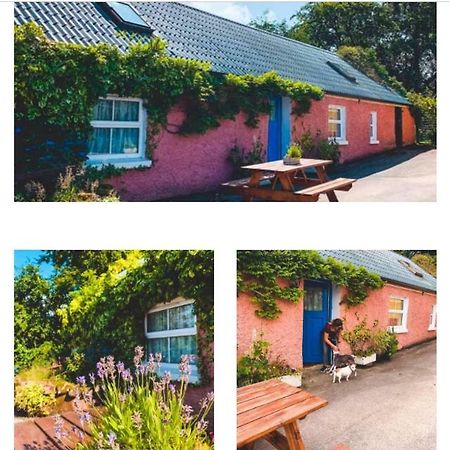 Wisteria Cottage باليكونيل المظهر الخارجي الصورة