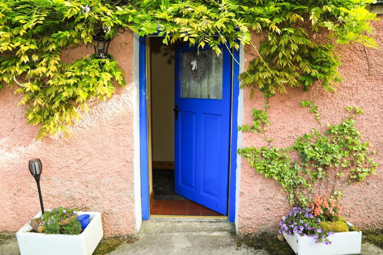 Wisteria Cottage باليكونيل المظهر الخارجي الصورة